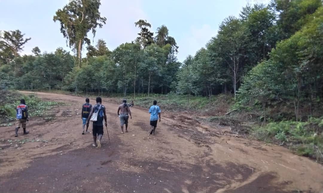 Field team inspecting an existing estate access road